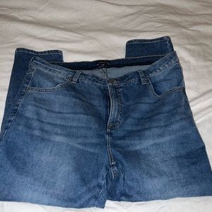 Universal Standard Seine High Rise Skinny Jeans Petite